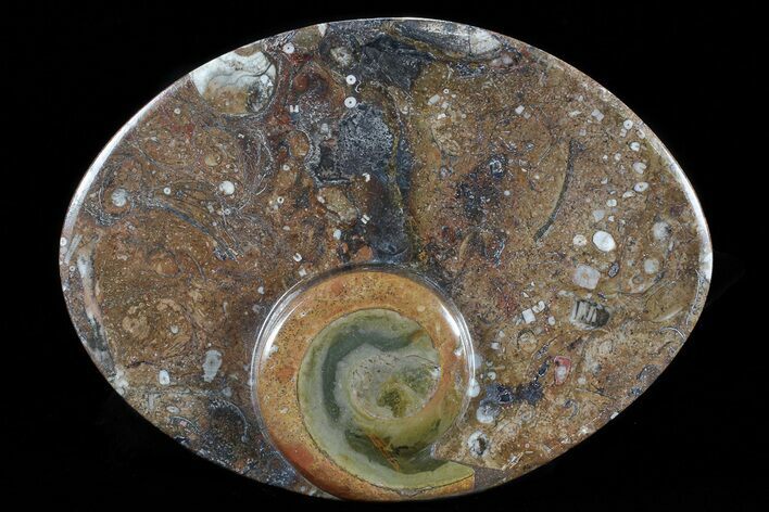 Oval Shaped Fossil Goniatite Dish #73770
